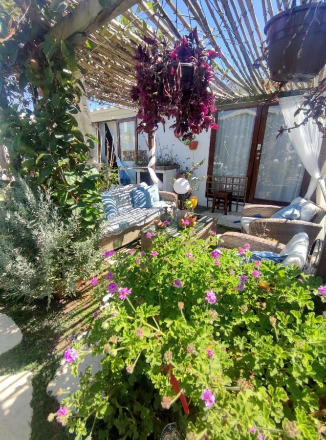 Beach House Babylon Guest House With Kitchenette And Garden Torreira Extérieur photo